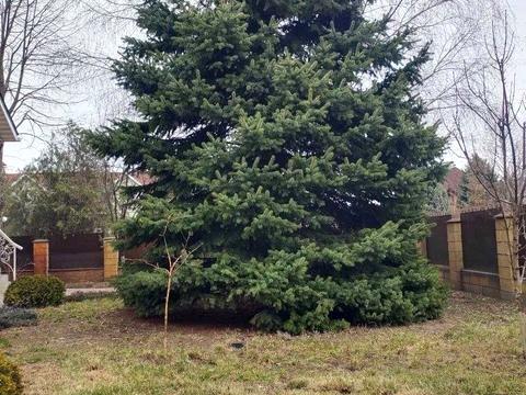 дом по адресу пгт. Слобожанское, Центральная ул., 21