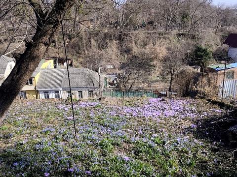 участок по адресу Гайдамацький провулок