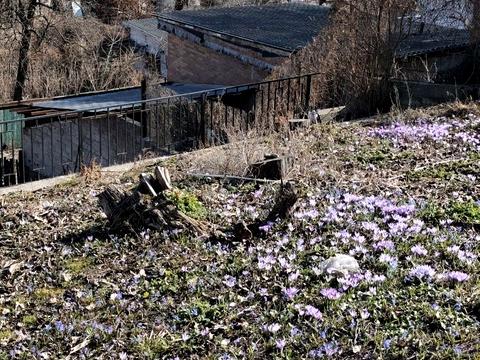 участок по адресу Гайдамацький провулок