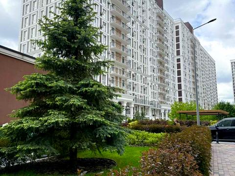 коммерческая по адресу Михаила Максимовича ул. (Трутенко Онуфрия), 24-В