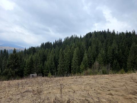 ділянка за адресою 