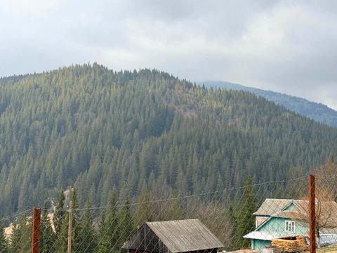 ділянка за адресою с. Яблуниця, 