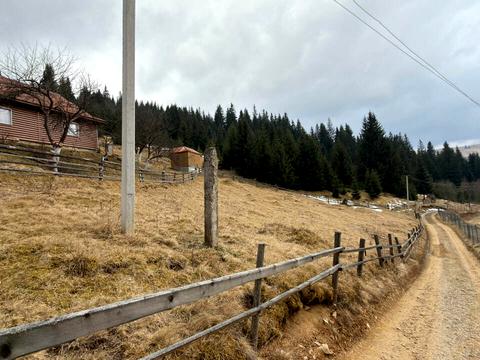 ділянка за адресою с. Яблуниця, 