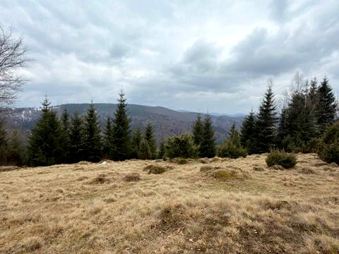 ділянка за адресою с. Яблуниця, 