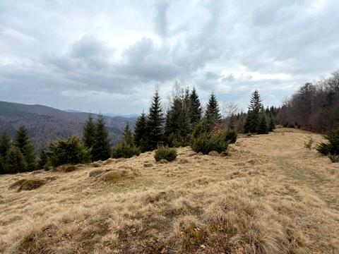 ділянка за адресою с. Яблуниця, 