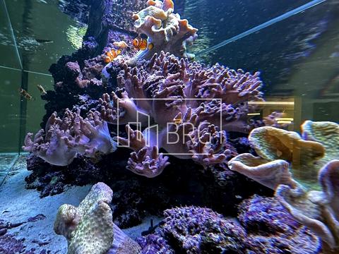 будинок за адресою Вишнева вул.