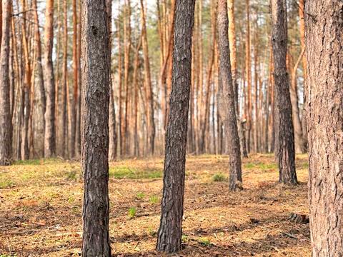 будинок за адресою с. Терешки, Нафтопромисловиків, 140