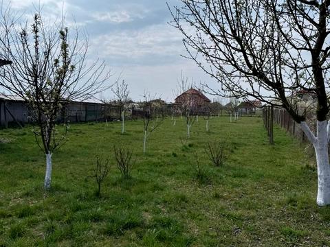 дом по адресу Миру, 34