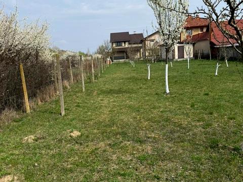 дом по адресу Миру, 34