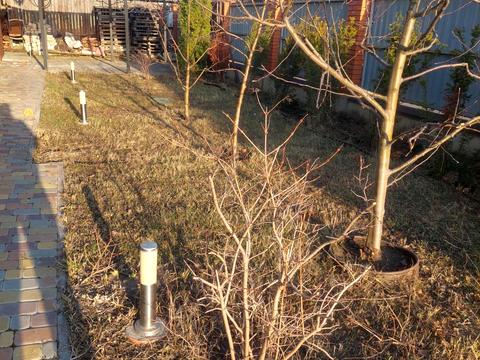 дом по адресу 75-та Садова вул.