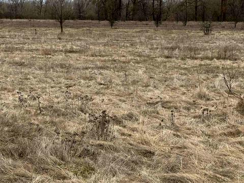 участок по адресу Киівська, 21