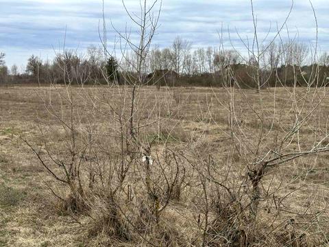 участок по адресу Киівська, 21