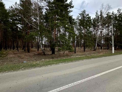 участок по адресу Киівська, 21