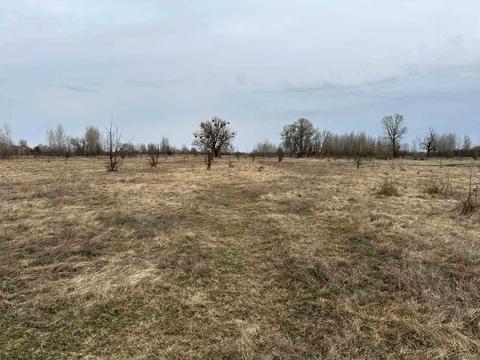 участок по адресу Киівська, 21