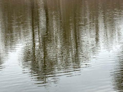 участок по адресу Киівська, 21