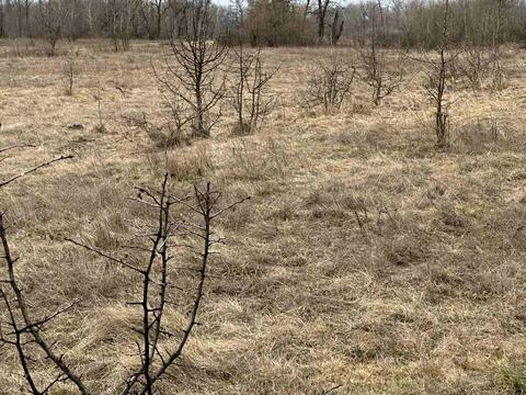 участок по адресу Киівська, 21