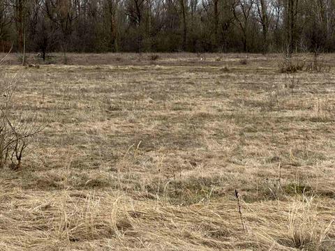 участок по адресу Киівська, 21