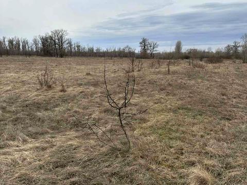 участок по адресу Киівська, 21