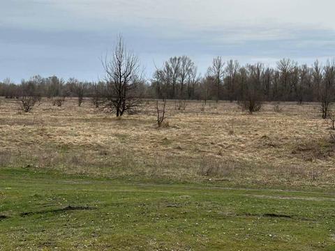 участок по адресу Киівська, 21