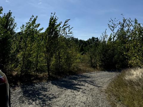 участок по адресу 