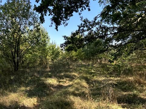 участок по адресу 