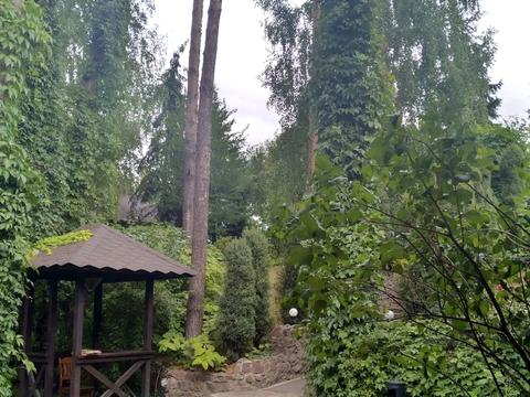 комерційна за адресою Петропавлівська вул., 20