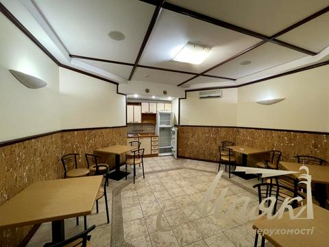 комерційна за адресою Велика Васильківська вул. (Червоноармійська), 64