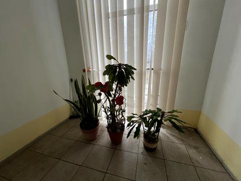 квартира по адресу Зодчих ул., 28