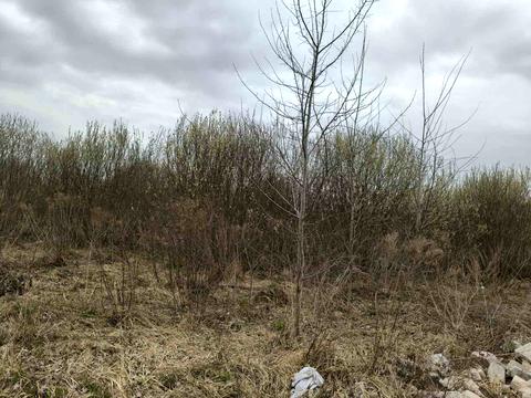 участок по адресу 