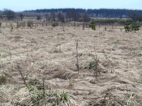 участок по адресу Центральна
