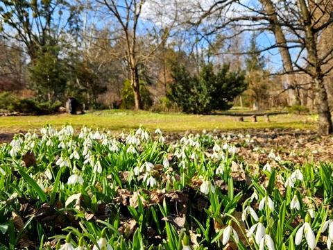 будинок за адресою с. Лебедівка, Шевченко, 8