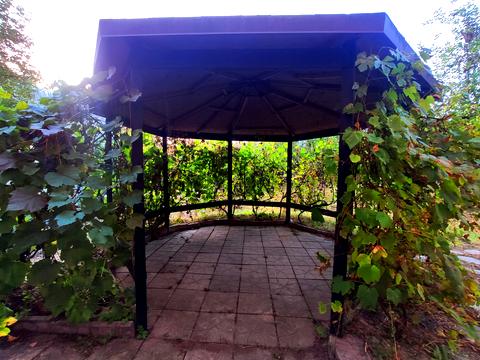 будинок за адресою с. Мала Солтанівка, Лісова