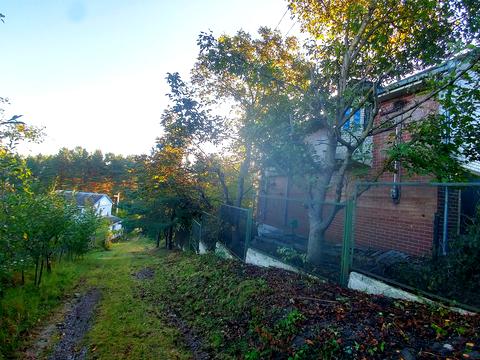 будинок за адресою с. Мала Солтанівка, Лісова