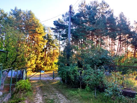 будинок за адресою с. Мала Солтанівка, Лісова