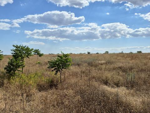 ділянка за адресою 