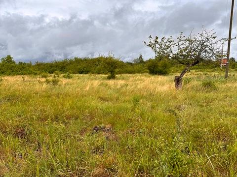 ділянка за адресою Центральна