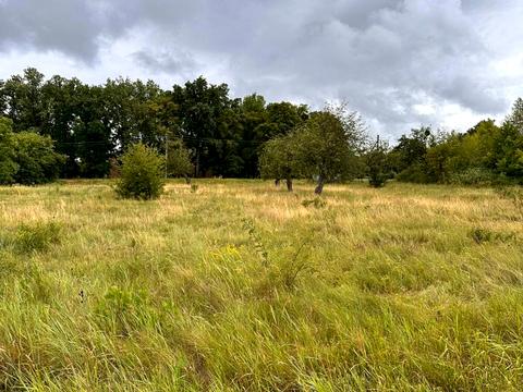 участок по адресу Центральна