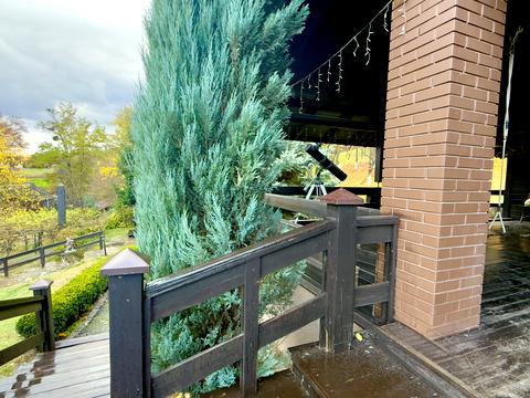 дом по адресу Ярова