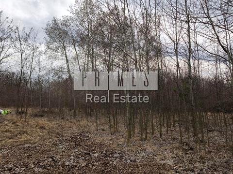 ділянка за адресою с. Креничі, Польова