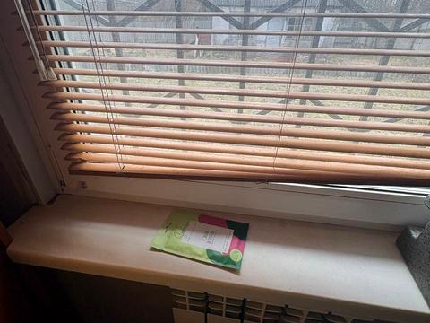 будинок за адресою с. Шибене, Лісова вул. (Петровського)