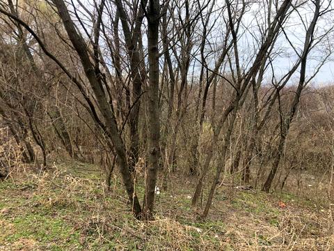 ділянка за адресою Отто Шмидта, 26в