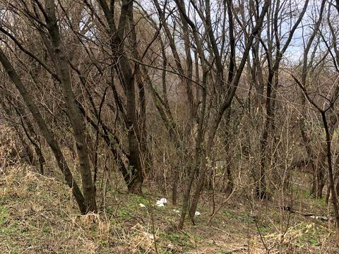 ділянка за адресою Отто Шмидта, 26в