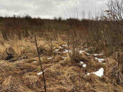 ділянка за адресою 