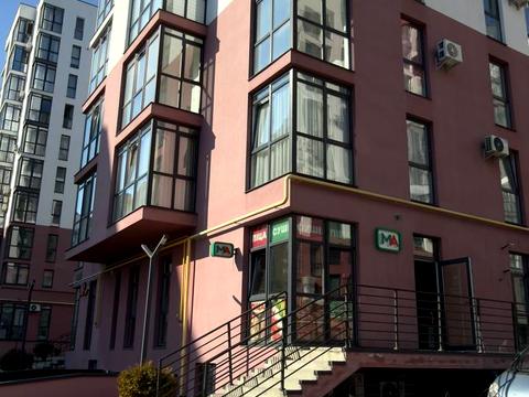 комерційна за адресою Малоголосківська вул., 32г