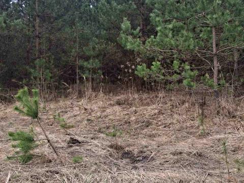 участок по адресу 