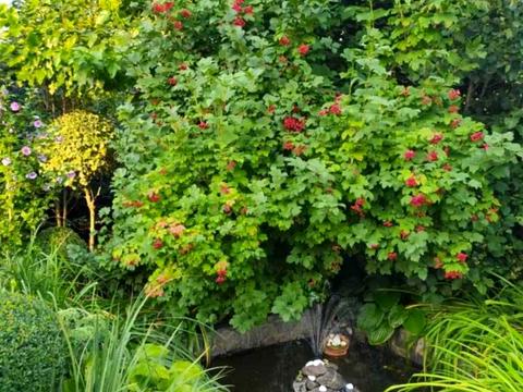 будинок за адресою Сільськогосподарська вул., 18-А