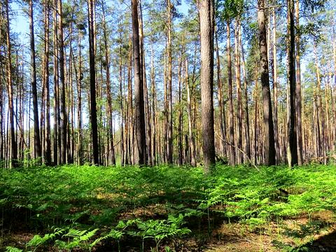 ділянка за адресою Івана Франка вул.
