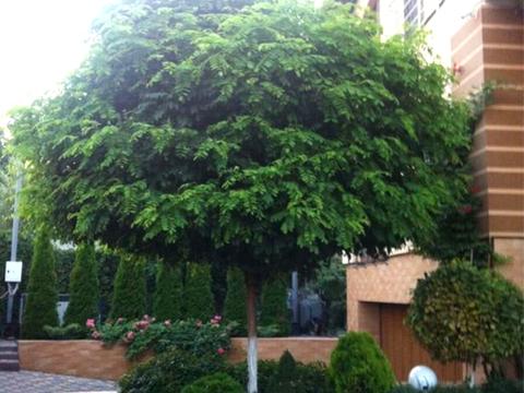 будинок за адресою Білицька вул., 20