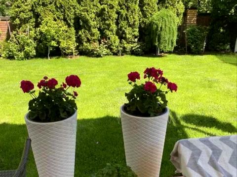 будинок за адресою Білицька вул., 20