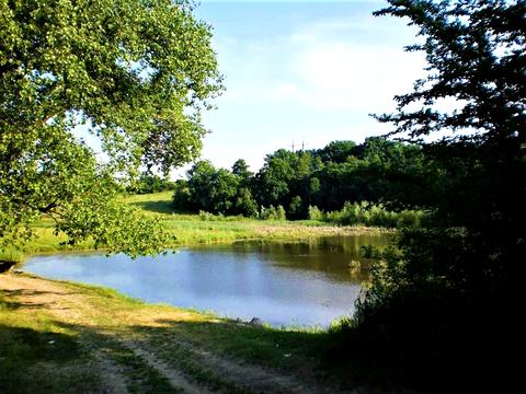 участок по адресу Поповича